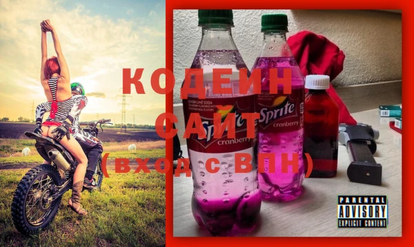хмурый Дмитриев