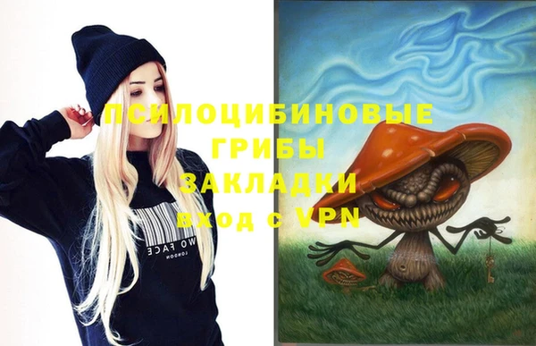 хмурый Дмитриев