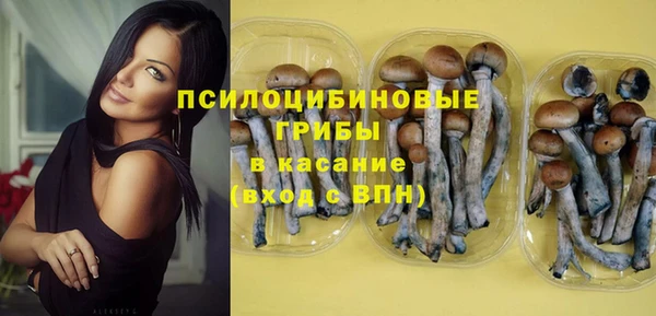 хмурый Дмитриев