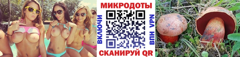 где найти   Евпатория  Псилоцибиновые грибы Cubensis 
